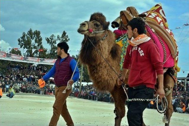Develer Bu Sefer Kendileri İçin Güreşti 2