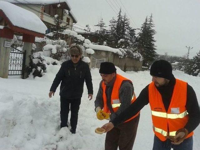 Yaylada Karda Aç Kalan Hayvanlar Unutulmadı