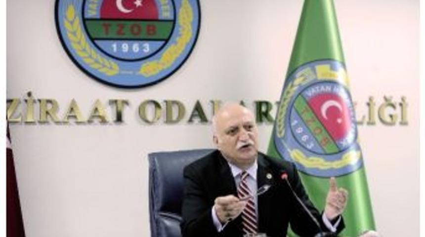 Ocak Ayında En &Ccedil;ok &rsquo;maydanoz&rsquo; Mağdur Etti