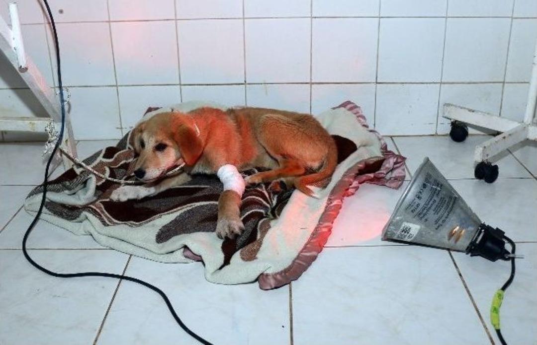 S&uuml;r&uuml;ngenlere Yerden Isıtma