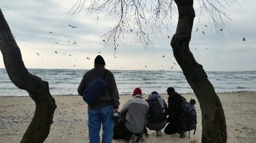 (&ouml;zel Haber) Kuş Fotoğraf&ccedil;ıları B&uuml;y&uuml;k Karasırtlı Martıyı G&ouml;r&uuml;nt&uuml;leyebilmek İ&ccedil;in İstanbul&rsquo;a Akın Etti