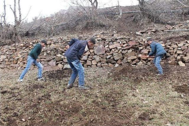 Beytüşşebap’ta Çocuklar Soğuklara Aldırış Etmeden Tarlalarda Kazma Ve Kürekle Çalışıyor