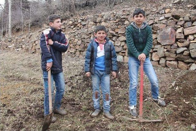 Beytüşşebap’ta Çocuklar Soğuklara Aldırış Etmeden Tarlalarda Kazma Ve Kürekle Çalışıyor