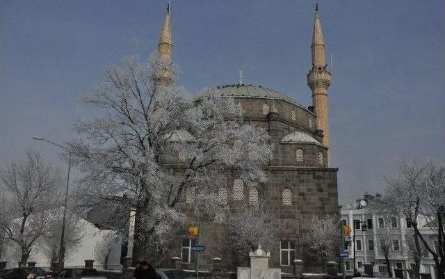 Karsta Kırağı Tutan Ağaçlar Kartpostallık Görüntüler Oluşturdu