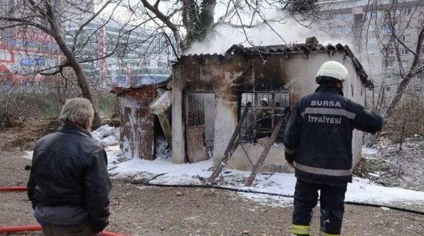 Yanan Kul&uuml;besini &Ccedil;aresiz Bakışlarla İzledi