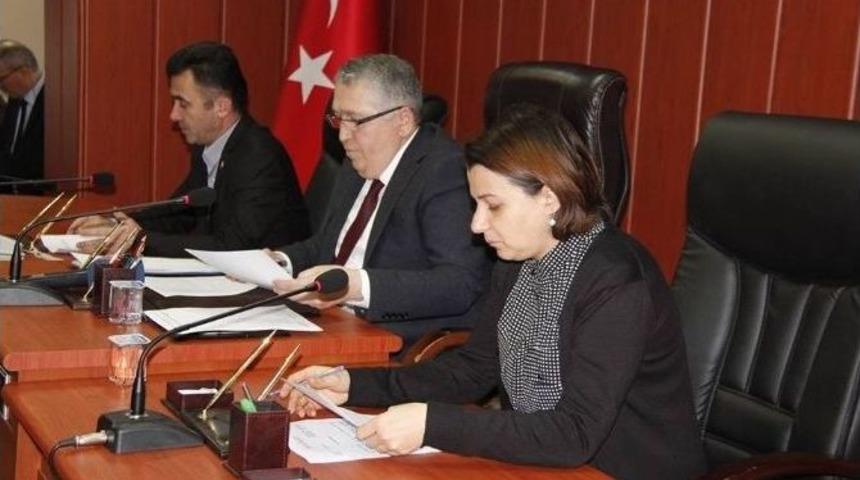 İl Genel Meclisi Şubat Ayı İlk Toplantısını Tamamladı