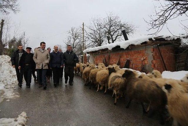 Başkan Taşçı: “ilçemizi Daha Güzel Yarınlara Taşıyoruz”