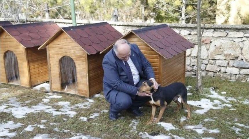 Başkan Erdal Şanlı&rsquo; Dan Kazım Kurt&rsquo;a Teşekk&uuml;r Ziyareti