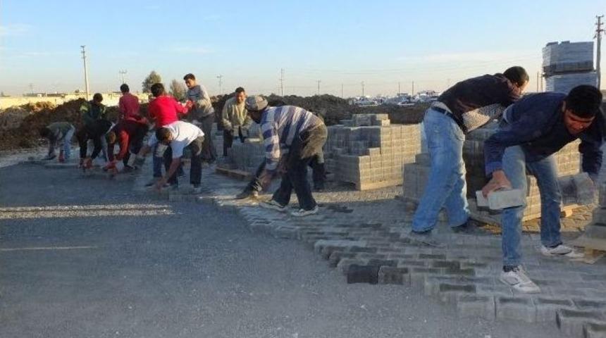 Harran’da Parke Döşeme Çalışması Devam Ediyor