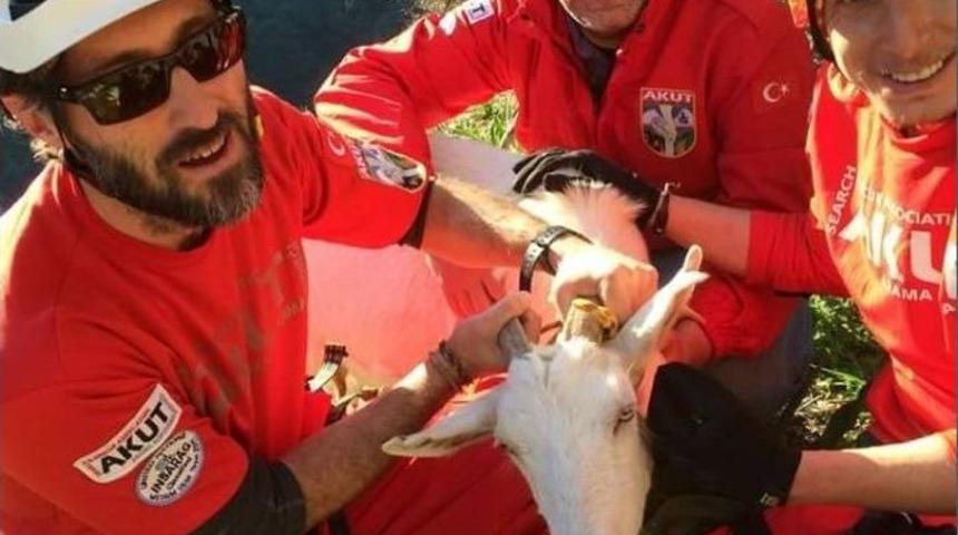 Akut Bu Kez Hamile Ke&ccedil;iyi Kurtardı