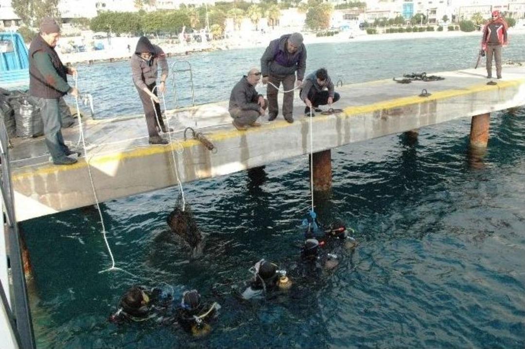 &Ouml;ğrenciler Denizin Dibinden Tonlarca &Ccedil;&ouml;p &Ccedil;ıkardı