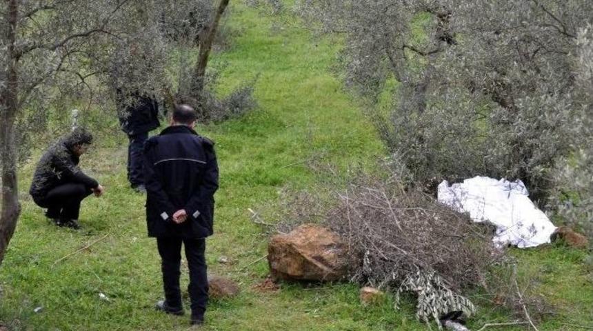 &Ouml;l&uuml;m Bah&ccedil;ede Yakaladı