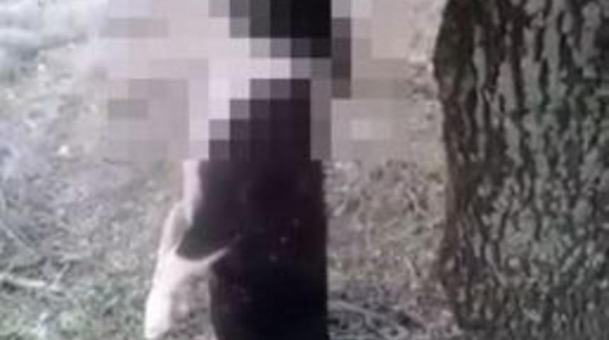 G&ouml;k&ccedil;eada&rsquo;da T&uuml;yler &Uuml;rperten G&ouml;r&uuml;nt&uuml;