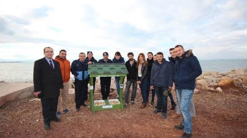 Beyşehir&rsquo;de Sokak Hayvanları İ&ccedil;in Su Kabı