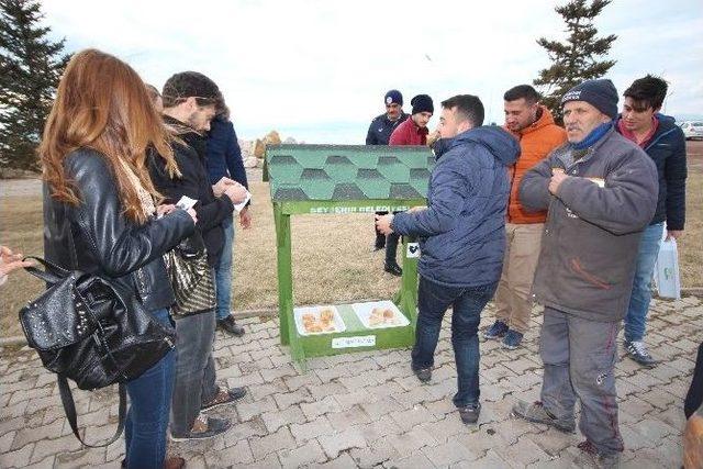 Beyşehir’de Sokak Hayvanları İçin Su Kabı