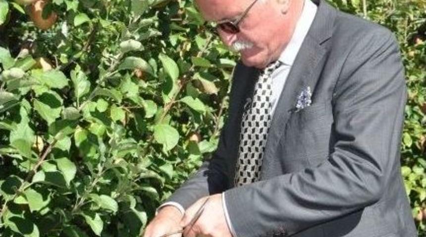 G&uuml;l Sepetinden Sonra Elma Sepeti