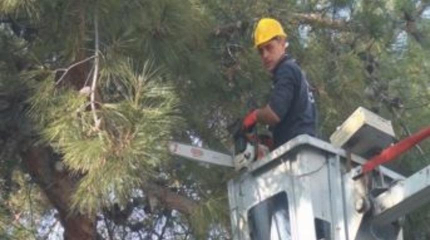 Karesi&rsquo;den &Ccedil;evreci &Ccedil;&ouml;z&uuml;m