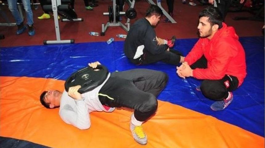 Avrupa Ve D&uuml;nya G&uuml;reş Şampiyonası&rsquo;na Tokat&rsquo;ta Hazırlanıyorlar