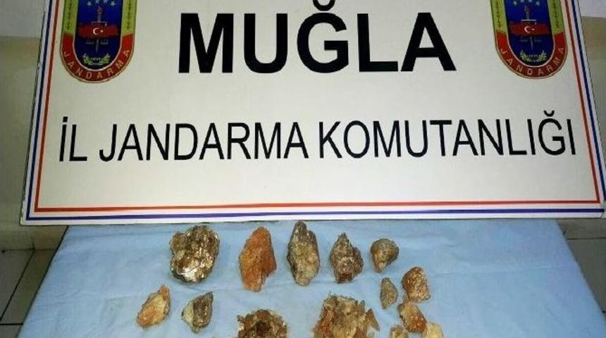 Milas’ta Kaçak Zultanit Kazıcılarına Operasyon