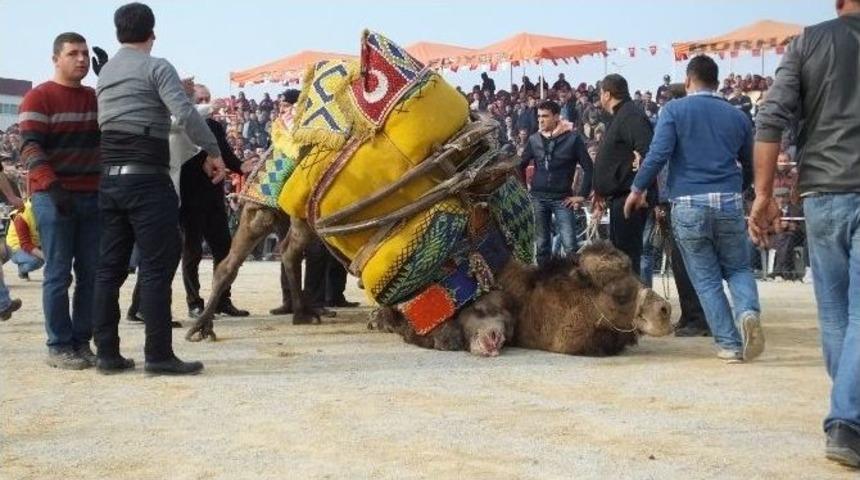 Fotoğraf Merakı Y&uuml;z&uuml;nden D&uuml;nyayı Gezdi