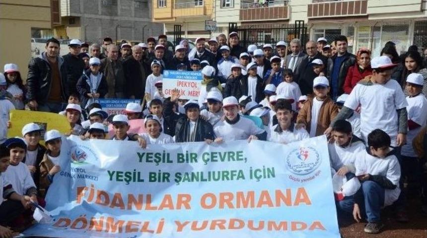 &Ouml;ğrenciler Ve Cami Cemaati Fidan Dikti