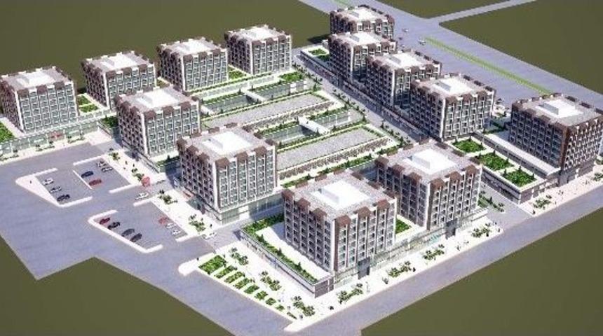 Kiza, Sosyal Yaşama Da Katkı Sunacak