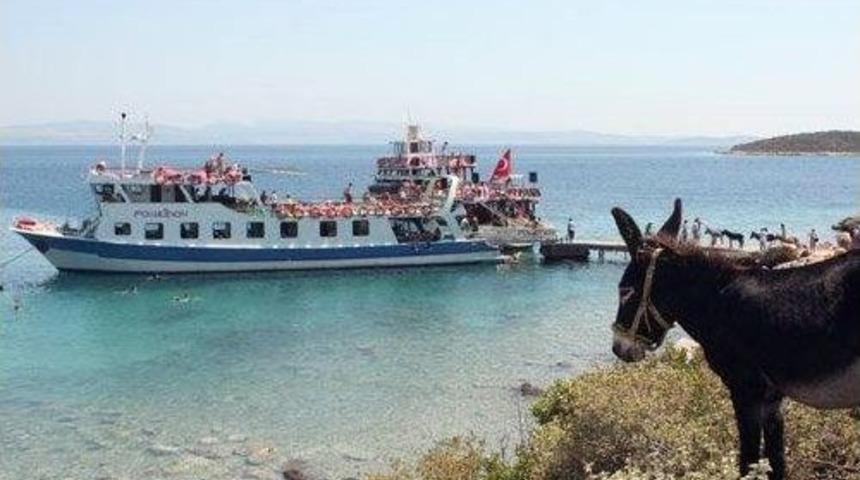 &Ccedil;eşme&rsquo;de Dalış Turizmine &rsquo;efes Antik Kenti&rsquo; Hamlesi