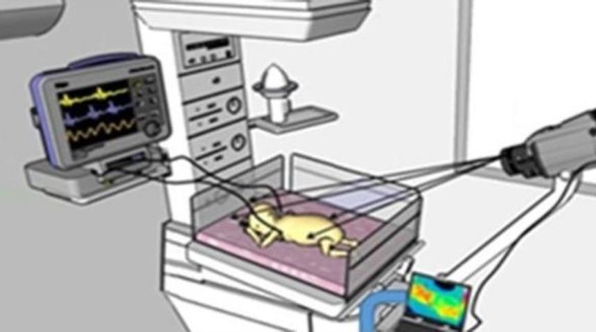 Yeni Doğan Bakım &Uuml;niteleri İ&ccedil;in Termal Kameralı &Ouml;n-teşhis Sistemi