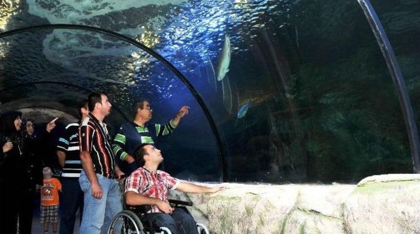 Okyanusu Keşfetmeye Var Mısınız?