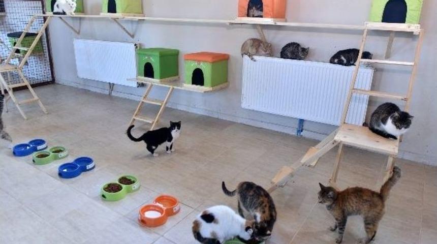 B&uuml;y&uuml;kşehir&rsquo;in Sıcak Yuvası