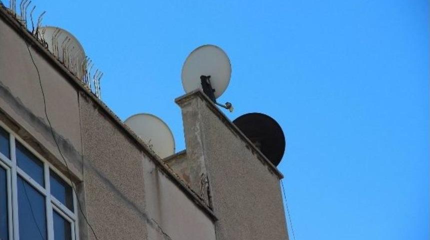 Diyarbakır&rsquo;da Bir Binanın &Ccedil;atısına Roket Mermisi İsabet Etti