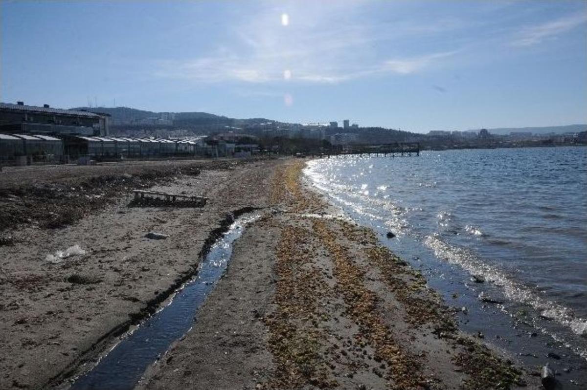&Ccedil;anakkale&rsquo;de Deniz &Ccedil;ekildi