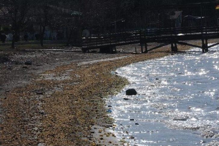 Çanakkale’de Deniz Çekildi G1