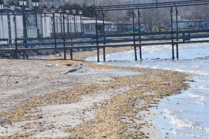 Çanakkale’de Deniz Çekildi G3