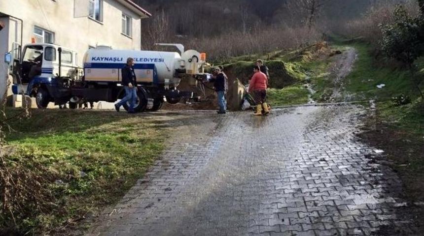 Kaynaşlı Belediyesi Yoğun &Ccedil;alışıyor