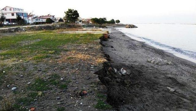 Karadeniz’in Hırçın Dalgaları Kumsallara Zarar Veriyor