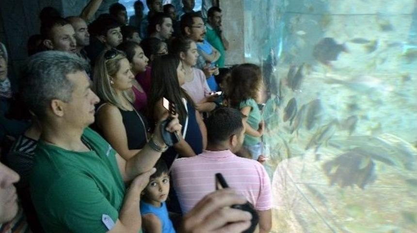 &Ccedil;ocuklar S&ouml;mestr Tatilinde Akvaryuma Akın Etti