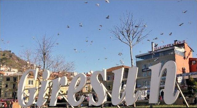 Giresun’da Vatandaşlar Güneşli Havanın Tadını Çıkardı