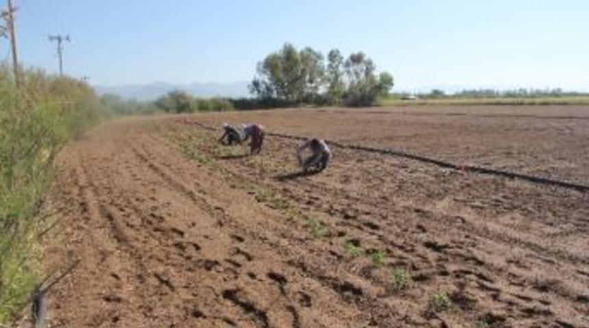 Kiracılar İ&ccedil;in Uyarı