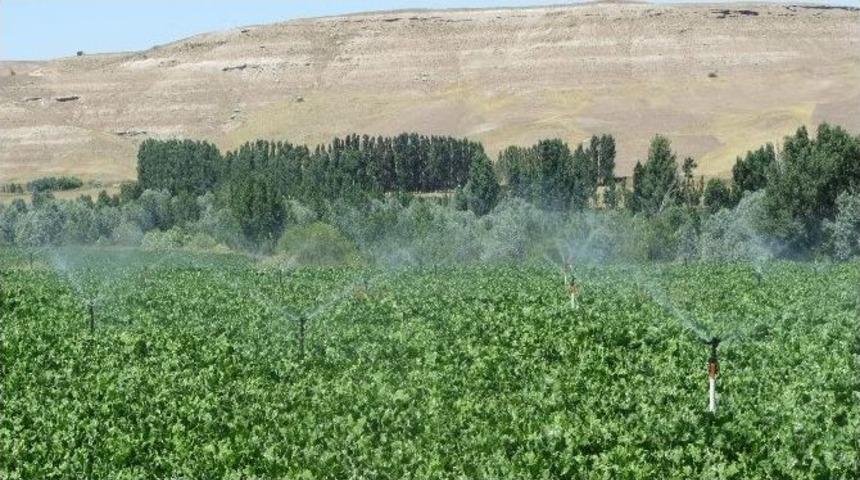 Sivas İl &Ouml;zel İdaresi Tarım Sekt&ouml;r&uuml;ne 55 Adet Proje Kazandırdı