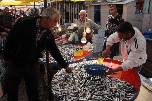 Balık Fiyatları Yarıya Düştü