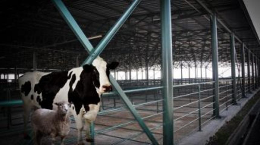 Kapatılan Tepebaşı Hayvan Pazarı Yeniden A&ccedil;ıldı