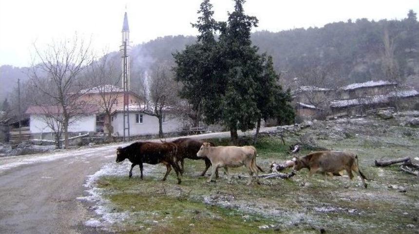 Yavaş; &ldquo;et Ve S&uuml;t Fiyatlarındaki İstikrarın Korunması Gerekir&rdquo;