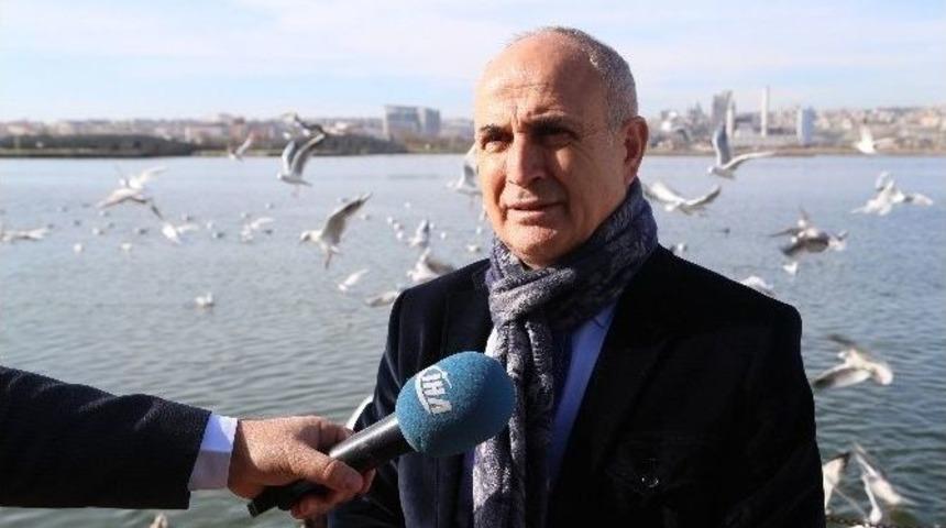 Yabani &Ouml;rdekler, B&uuml;y&uuml;k&ccedil;ekmece&rsquo;de Yeniden Yaşam Alanı Buldu