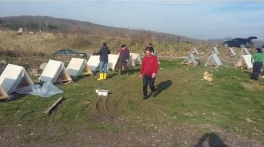 Kartepe&rsquo;de Sokak Hayvanlarına Kul&uuml;be