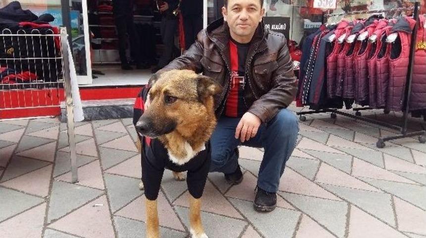 Eskişehirspor&rsquo;un Sadık Taraftarı Şaro