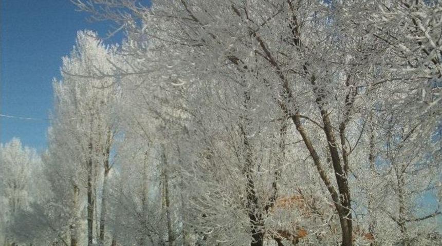 &Ouml;zalp İl&ccedil;esinde Dondurucu Soğuklar