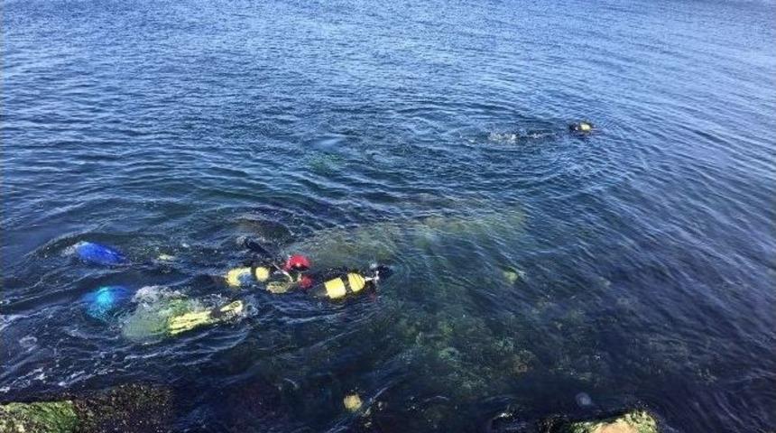 Su Altı Arama Kurtarma İşbirliği