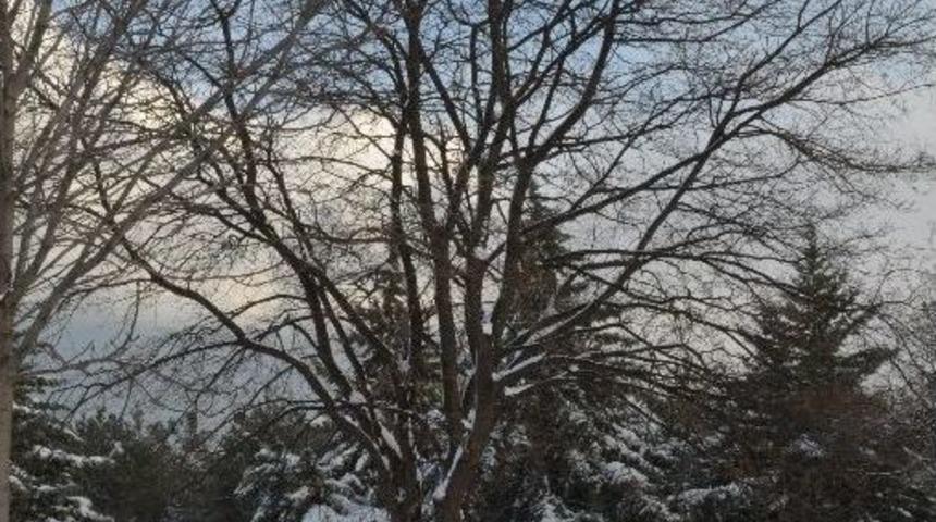 Kar Yağışının Tarıma Etkisi