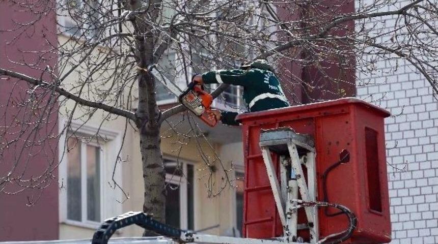 Bağcılar&rsquo;da Yeşil &Ccedil;evre Seferberliği